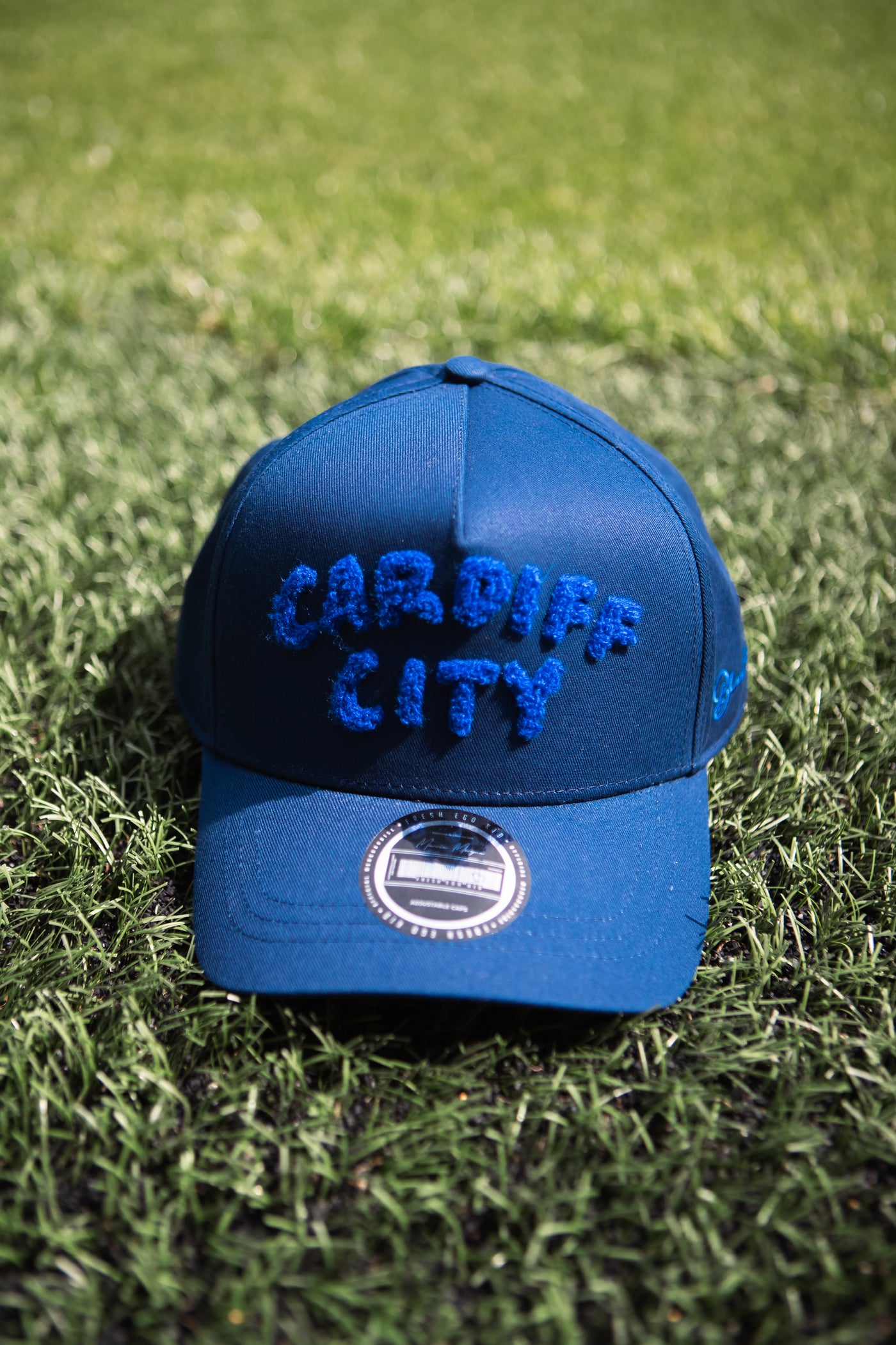 FRESH EGO KID x CARDIFF CITY FC TRUCKER