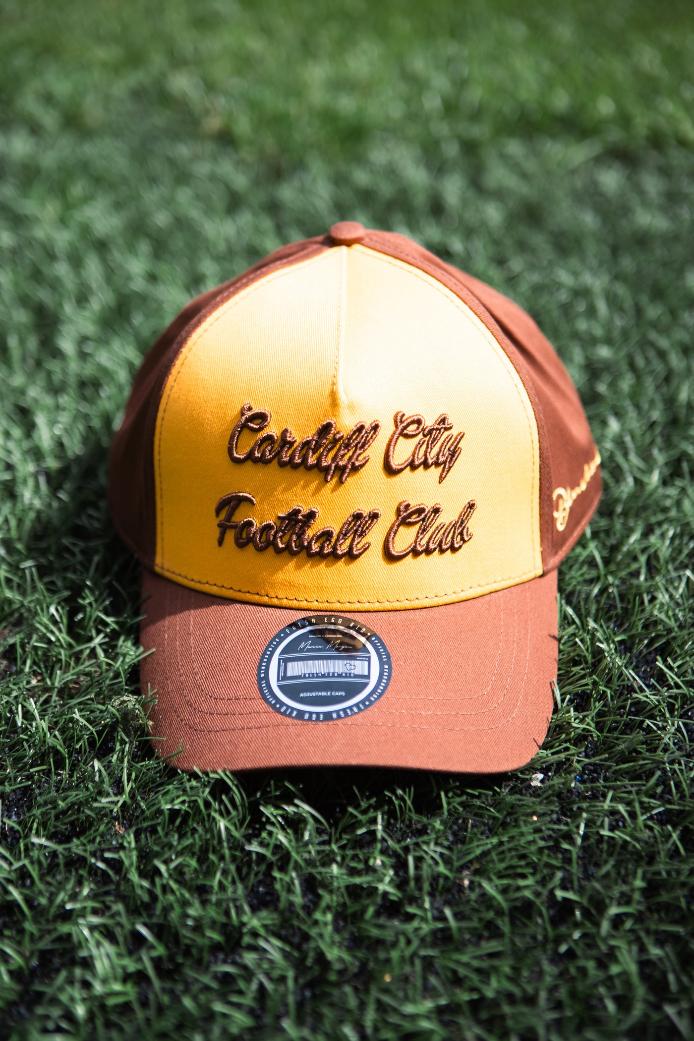 FRESH EGO KID x CARDIFF CITY FC TRUCKER